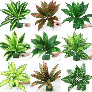 tFCNO[  Xe |gX [t k  A lHϗtA CeAO[  rO  z[fR[V  fBXvC(x2)