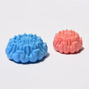 VR[h nCrXJX  DIY A}Lh ΍pI[ig A}Xg[ [XP[L Ό (x2)