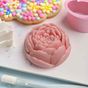 VR[h O t[ ؕ A}Lhp ΍p Ό [XP[L `R[g [[^ nhCh Ntg ϔM _ F(x2)