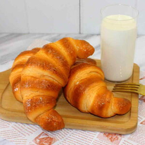 HiTv tFCNNbT Aȃp͌^ PUf { fBXvC IuWF u Be XC[cVbv JtF x[J[ Xܑ CeAG