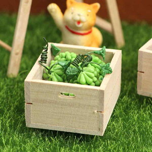 ~j`A h[nEX 1/12XP[ Ƌ Ebh{bNX t[c  n ^ [P[X C  G