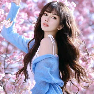 EBbO fB[X tEBbO  p OJ[ EF[u V[X[oO O ig R ϔMt@Co[ ؍ I`X^C  Jo[ F