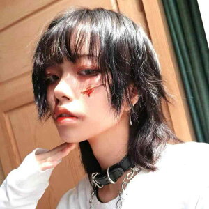 EBbO Y jp Ete[ }bgwA  V[g Z ӂ {[ N RXv R ϔMt@Co[ N[ 