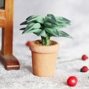 h[nEX 1/12XP[ ~j`AƋ  Sy׍H  O[ Aؔ v^[ IuWF A  tFCN