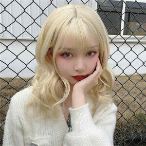 EBbO fB[X Z~O  gJ[ EF[u 銪 ӂ x[Wuh AbVx[W ~NeB[J[ ϔMt@Co[ C`F ig  i