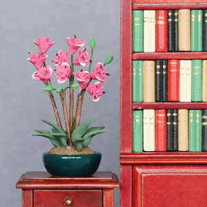 h[nEX 1/12XP[ ~j`AƋ i   SyA ͌^ fBXvC IuWF RNV I _ Vv