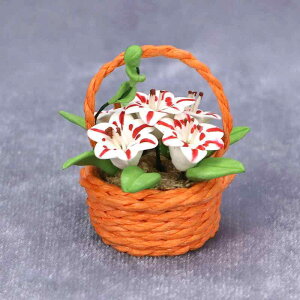 ~j`A 1/12XP[ h[nEXp ̃t[oXPbg  [sA ܂܂ƗV i͌^ fBXvC  IuWF