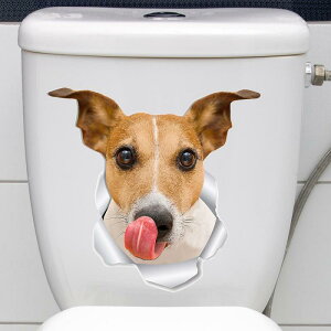 EH[XebJ[  q  킢 gC W ֊  oX[ fR[V \Ă͂ CN V[