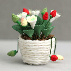 h[nEX 1/12XP[ ~j`A Ƌ K[f V[  A Sy  Xgx[ u ~ A W 킢  CeA WI} ANZT[