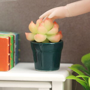 ~j`A 1/12 h[nEXp  A Sy tFCNO[ A  CeA  I[ig u RNV  _ 킢 