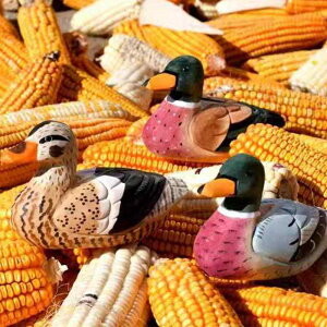 u ؐ Aq 蒤 ̉ ` nhCh VimL  CeAG ƒp ItBX  rO  _