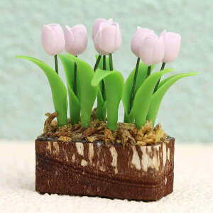 ~j`A 1/12XP[ h[nEX ~jƋ xi i͌^ I[ig fR[V  t[  bh `[bv  H|i _ Vv