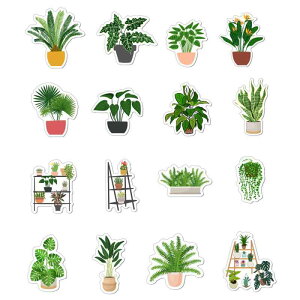 ①Ƀ}Olbg Nbv  킢 tbVO[ ϗtA A MѐA gsJ CeAG 