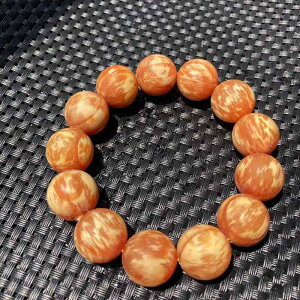 uXbg jp kq RY k ߖ ؃r[Y ؐ VRf  r ANZT[   t@bVACe