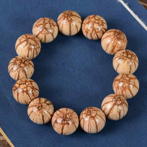  jp O uXbg r I { ~Ԗ͗l Sʖl ؎ ANZT[ ig  J^