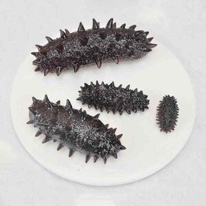 HiTv A i}R ͌^ tFCN CN CY I { V[P[X fBXvC  u X HX Xg   Be  PVC