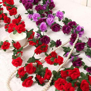 t[K[h  A VNt[ ~jo ~j{^ 45 2.3m tFCNO[ ͂Ȃ CeA  Ǐ  EFfBO Be GARډB