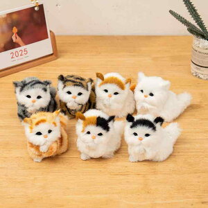 L ̎q q LbY A qL u ʂ l` 킢 tFCNt@[f ~jTCY  IW u[ Օ CeA IuWF }XRbg RNV