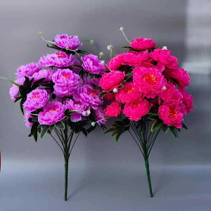  ։O e tFCNt[ 莝 Q d { V p Op |GXe ͂Ȃ