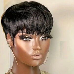 EBbO jZbNX jp ĕ V[gJ[ S ϔMt@Co[  Rȃ{[ ӂ AtJX^C fC[[X ubN CguE 