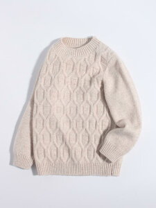 Z[^[ LbY j̎q JV~100%   P[u҂ Ajbg vI[o[ N[lbN g JWA ig ʉ ʊw H~ AC{[