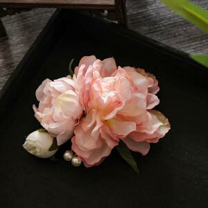 wANbv p O t[ z  TChNbv  V nʃXJ[g g GKg 킢 t (x2)