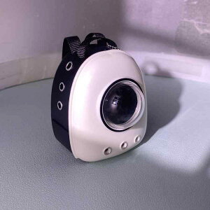 ~j`AtBMA h[nEX BJDh[p ybgJvZ^ L[obO l`p vX`bN RNV u V[NbgpbN FWJ qE 킢(x2)