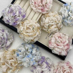 t[p[c t nhCh z JA R   wANbv u[` RT[W C Xq  DIY |ޗ ANZT[p[c sN p[v CG