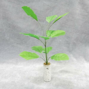 ~j`AA 1/12XP[ h[nEX WI} i͌^p vX`bN tFCNO[ ϗtA oii̖ ̂Ȃ ~j~ A i CeA CAEg 