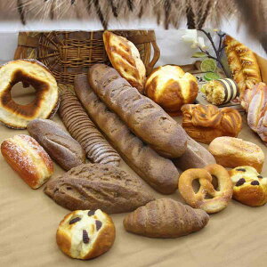 HiTv oQbg tXp A PUf ͌^ tFCNubh Be fBXvC V[P[X Xܑ CeA IuWF G