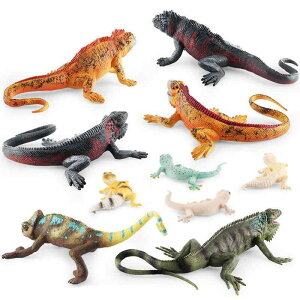  q LbY A ঒ gJQ JI Ip[hQbR[ COAi qE  vX`bN ͌^ tBMA u IuWF CeA ߋ