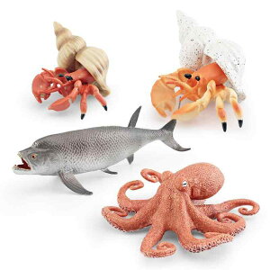 tBMA LbY q j̎q ̎q Cm A ~j`A C̐  hJ ^R JWL  ߋ RNV PVC