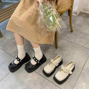 [t@[ fB[X ؍  p[ XNGAgD Xb| ~hq[ PUU[ Gi ʋC wC  ʋ ʊw ig JWA  