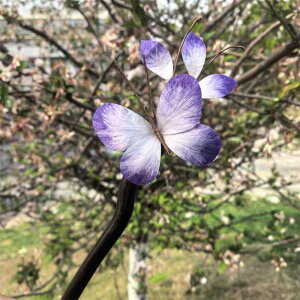 񂴂 V Õ   O h ؐ  `CihX a ܂Ƃߔ AbvX^C g wAANZT[ ^