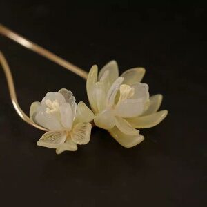 񂴂 fB[X U^ ؘ@ ԃ`[t  Vؕ  g i GKg ig a  p[eB[  wAAW  t