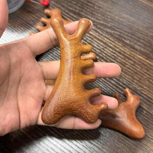 }bT[WR[ @\ 4in1  PA ё΍ wbhXp oPA   ڌ h T_Ebh ؐ  si bNX(x2)