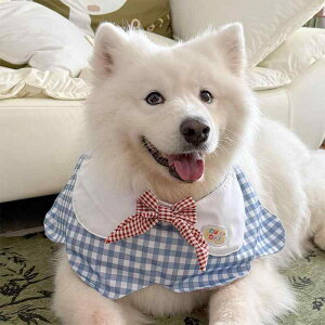 ���p�X�^�C ���킢�� �u���[�傫�߃`�F�b�N �Ԃт�f�U�C�� �h�� �|���G�X�e���� ���U�� �H�� ���i�g�� ���^�� ��^�� �S�[���f�����g���o�[ �{�[�_�[�R���[