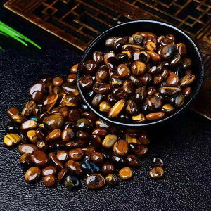 ������� �V�R �^�C�K�[�A�C �Ֆڐ� ���� ���~ ���� ���� �p���[�X�g�[�� �������� �A�N�A���E�� �e�����E�� ���� �� �q�[�����O �J�^ ���^ �A���}�X�g�[�� �f�B�t���[�U�[ �F�� �ґz �Ϗ�