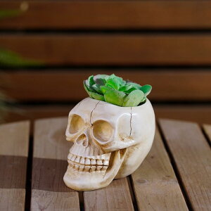 �u�� �n���E�B�� �X�J�� �[�� �h�N�� �A�ؔ� �v�����^�[ �|�b�g �C���e���A ���� ���� ������ ���W�� �A�����J���G�� �����A�� ��������