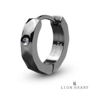 CIn[g JbeBO t[vsAX _Ch T[WJXeX316L CgubN Ўp AM[Ή 1_ Y uh LION HEART