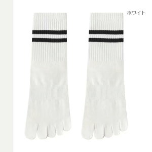 ���K�\�b�N�X ���K ����~�ߕt�� �s���e�B�X �C�� �W�� �g���[�j���O ��g�� 5�{�w�\�b�N�X ����~�ߕt���\�b�N�X ���K�p�C�� WAYONE