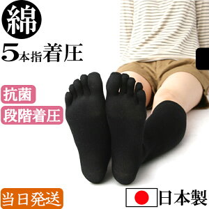 yyjzȍ { ȍ 5{w \bNX iK nC\bNX C \bNX  eXgbLO nC\bNX n J[  ӂ͂ R hL T|[^