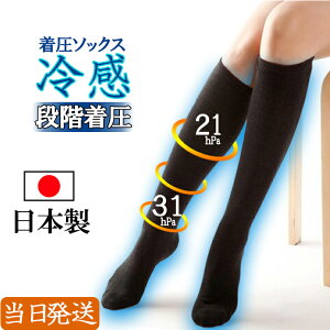 y { z⊴ ėp 23 ` 25cm \bNX iK nC\bNX C \bNX  eXgbLO nC\bNX n J[  ӂ͂ T|[^[ 傫