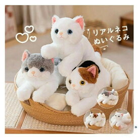 【楽天スーパーSALE★全店最大1000円クーポン＆P5倍】 リアルな猫の抱き枕 子供 プレゼント 猫のぬいぐるみ ギフト 誕生日 ねこ 母の日 ネコ 父の日 敬老の日