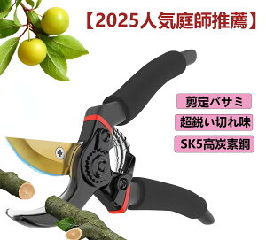 y2025ŐVv oT~ SK5Yf| |͂ s؂ꖡ yʃA~ lԍHw݌v Trh~tbfH }؂oT~ ʎ  ~ K[fjO |p v[g łg