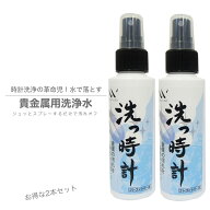 【100ml×2本セット】洗っ時計 貴金属用洗浄水 これ1本で洗浄・除菌・消臭全て完結！　腕時計 時計 ロレ…