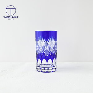 ]ː؎q OX ^u[ q  TG98-11-1B r[ җ  j LR ؎q ̓ cɎq av[g  ސEj ij ٓ j j S ̓ h