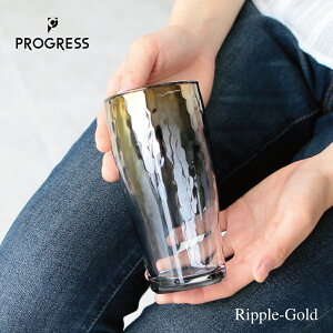 PROGRESS rAOX Ripple-Gold NX}X v[g 70 Mtg JewelryEGlass KX `^ r[OX { o^C ̓ hV̓ ސE S av[g OX IV