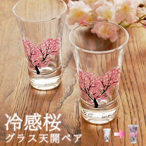 ⊴ VJOX yA OX Fς v[g 70 Mtg OX u  KX ̓ hV̓ j ސEj S v[g Mtg `H|E̘aV 