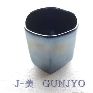 J-@GUNJYO@Jbv jb-3003kt ĒOX  bNOX  ̓ v[g pI   hV̓ j ސEj S v[g Mtg `H|E̘a